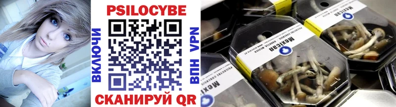 Псилоцибиновые грибы Psilocybe  Купить где  Новокузнецк 